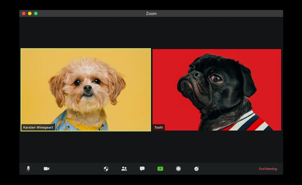 Group video call with multiple participants on screen
