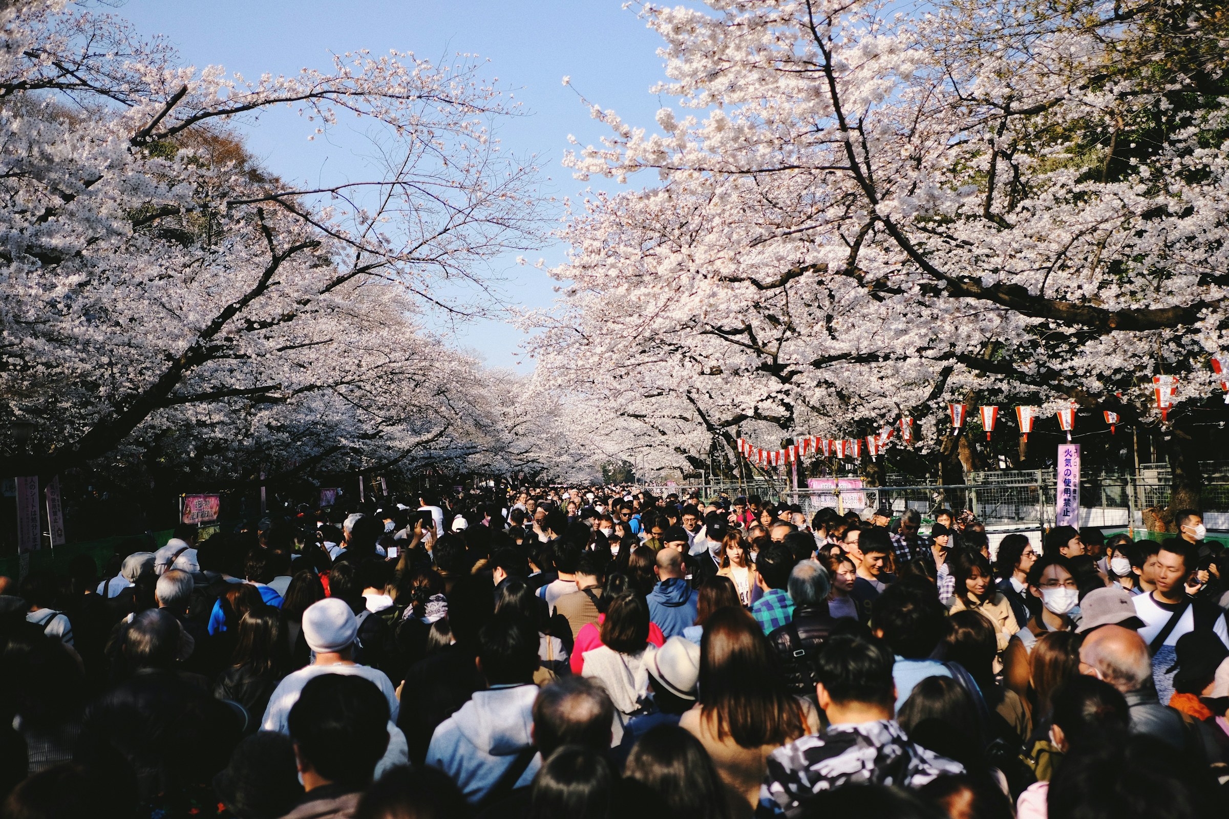 a large crowd of people walking down a street